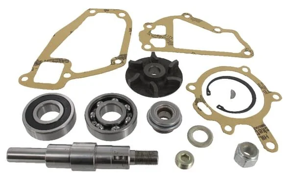 Massey Ferguson AGCO - 3641333M91 - Kit di riparazione pompa dell'acqua