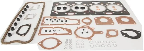 Massey Ferguson AGCO - 4224189Z91 - Kit motore completo
