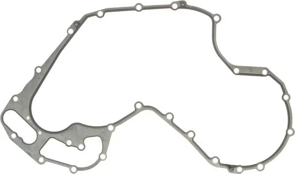 Massey Ferguson AGCO - 4224958M1 - Guarnizione coperchio distribuzione