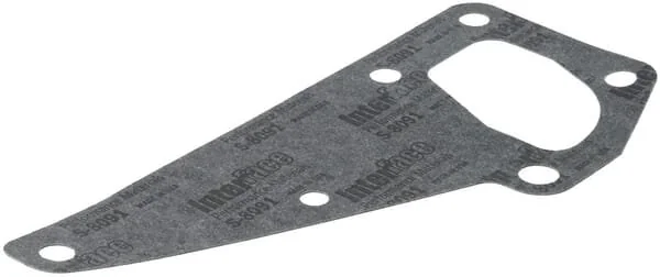 Massey Ferguson AGCO - ACW3526800 - Guarnizione pompa acqua