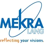 Mekra Lang - 113730310H - Copertura specchio 373, sinistra/destra, tubo, montaggio a due punti, grigio
