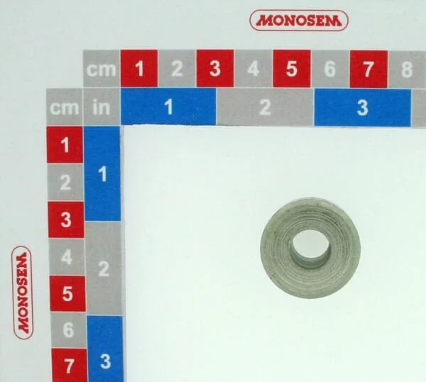 Monosem - 30073076 - Distanziale su posteriore NG+II su unità posteriore