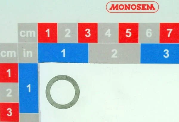 Monosem - 30621024 - Rondella
