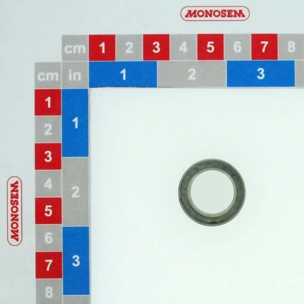 Monosem - 40160101 - Anello di bloccaggio pignoni intercambiabili