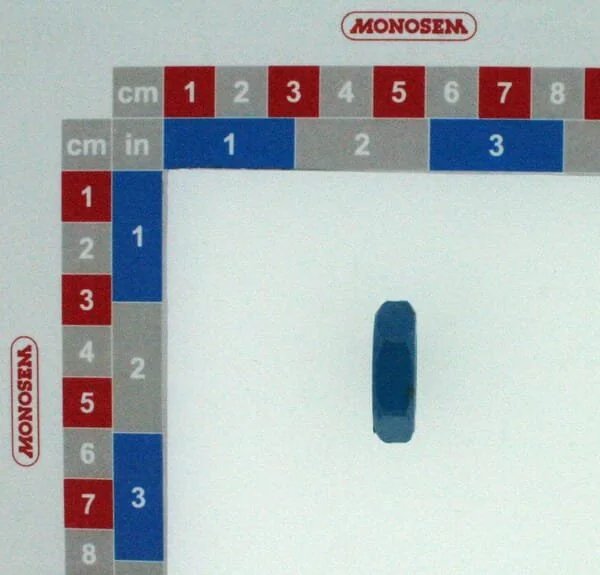 Monosem - 41039130 - Dado di articolazione su parallelogramma NX verniciatura blu