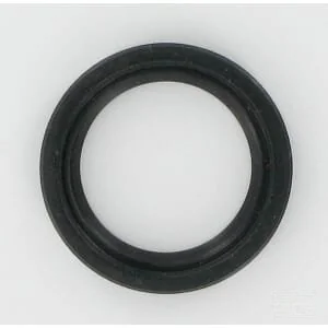 MTD - 7210338 - Paraolio