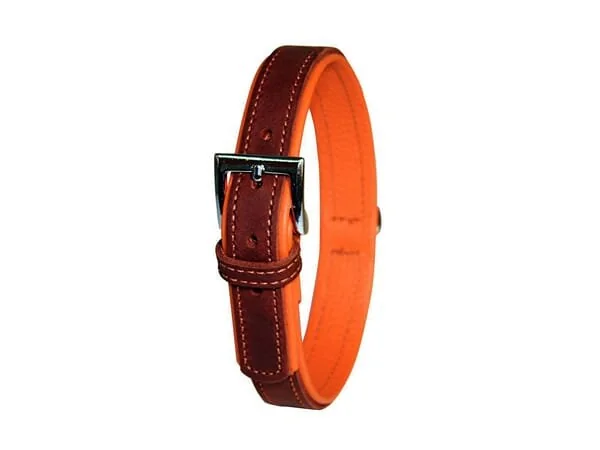 Non Original - 168682029 - Collare Vegas 41-47cm