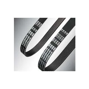 Optibelt - 5PJ762 - Cinghie scanalate