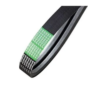 Optibelt - AP1001557 - Cinghia di trasmissione