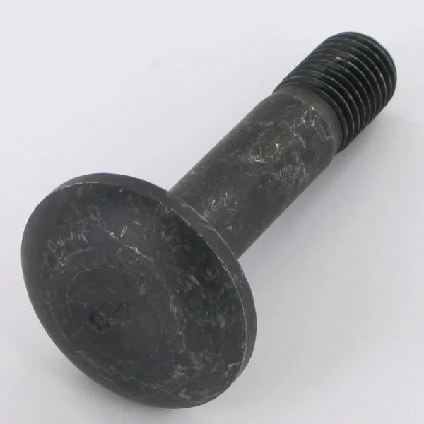 Rabe - 22044908 - Bullone -10.9