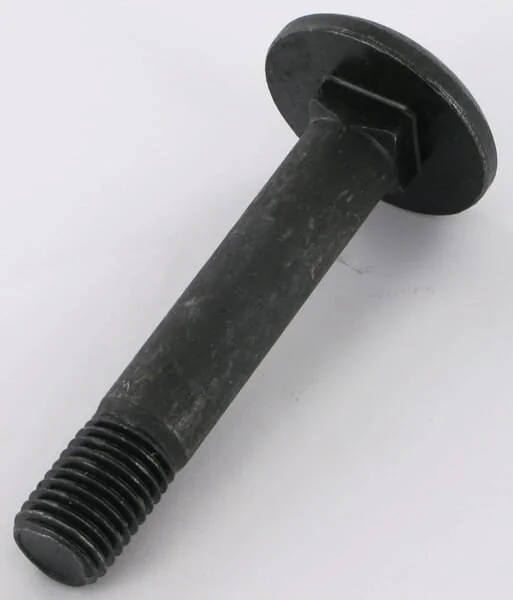 Rabe - 22044910 - Bullone -10.9