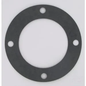 Rabe - 84090011 - Guarnizione flangia cuscinetto D165x108