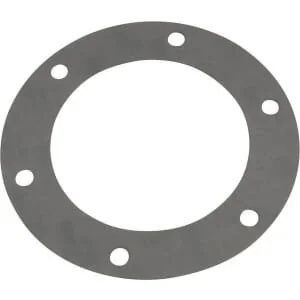 Rabe - 84110019 - Guarnizione flangia cuscinetto 215x143 R
