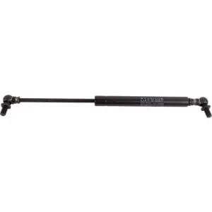 Raico - 000727510N - Ammortizzatore completo