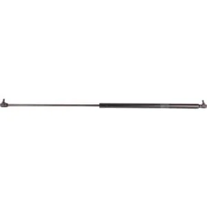 Raico - 001263304N - Ammortizzatore completo