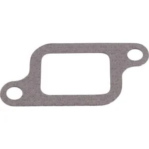 Raico - 005218580N - Guarnizione