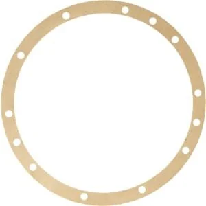 Raico - 013543530N - Guarnizione