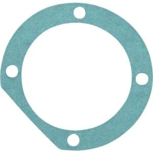 Raico - 01463650010N - Guarnizione