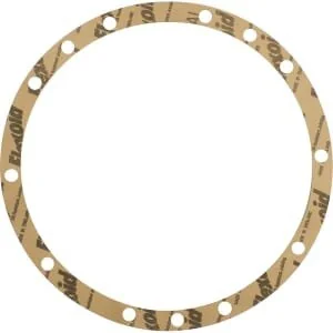 Raico - 014846520N - Guarnizione scatola del cambio anteriore
