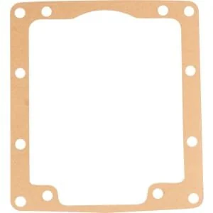 Raico - 01703156010N - Guarnizione