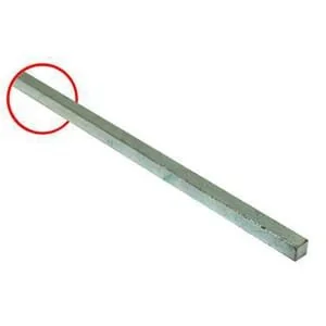Raico - 10205810N - Linguetta