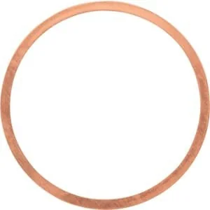 Raico - 21569078010N - Guarnizione