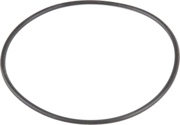 Raico - 44014905N - Guarnizione