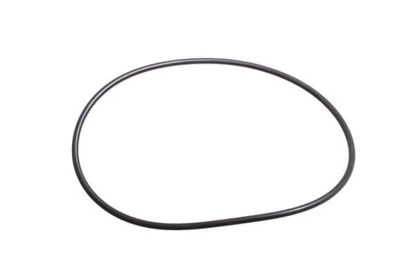 Raico - 44882496N - Guarnizione