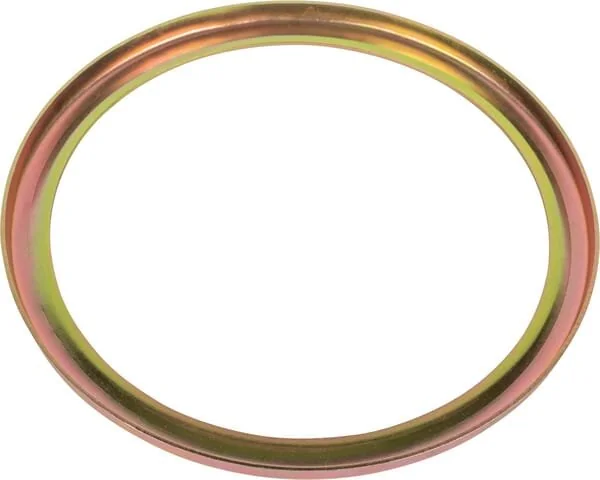 Raico - 4996765N - Paraolio disco