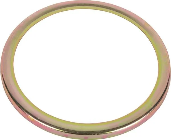 Raico - 4996765N - Paraolio disco
