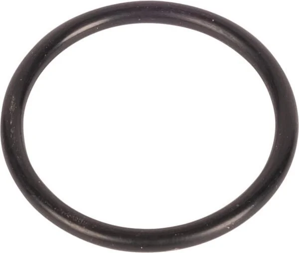 Raico - 5117113N - Guarnizione