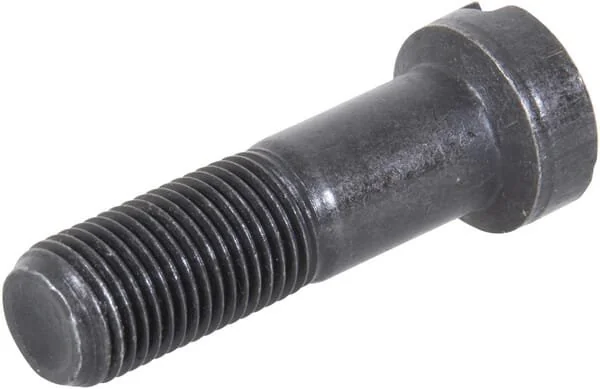 Raico - 83957533N - Bullone