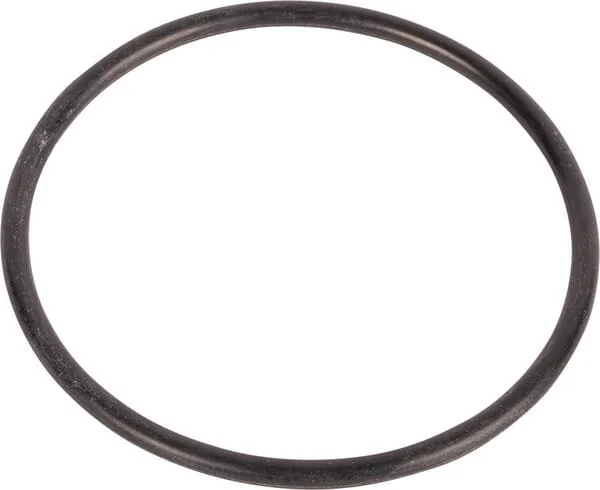 Raico - 9960099N - Guarnizione