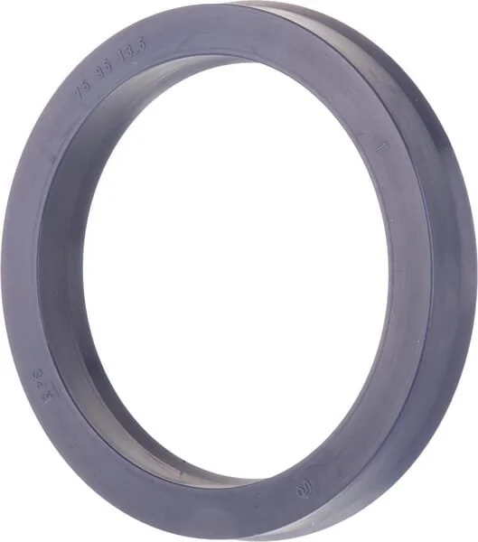 Raico - 9960227N - Anello