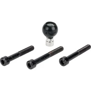 Ram