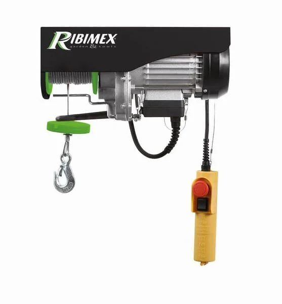 Ribimex - PE100200PT - Verricello elettrico, 100/200kg