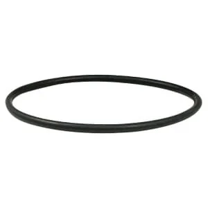Riv - RIV9858456 - O-Ring per 4''- flangia