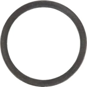 Spicer Dana - 000245560B - Rondella