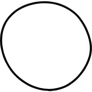 Spicer Dana - 1120700801 - O-ring