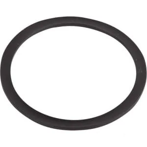 Spicer Dana - 1760701001 - Guarnizione piatta in gomma