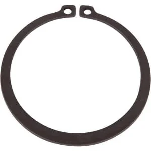 Spicer Dana - 234350 - Anello di ritenuta