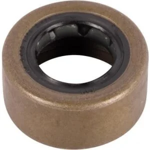 Spicer Dana - 234650 - Paraolio