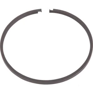 Spicer Dana - 4205235 - Fascia elastica