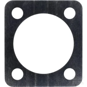Spicer Dana - 7330601304 - Spessore