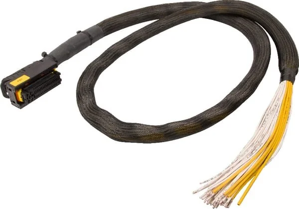 STW - ESX34054 - Spina AMP 81 poli codice (A) con cavo