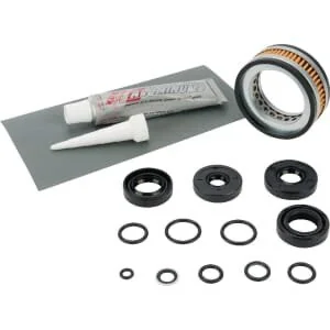 Tuff Torq - 19216395121 - Kit guarnizioni (K50 e K55) (con sigillante)