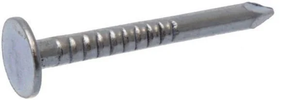 Unbranded - 1545163030 - Chiodi da copertura, zincati 3.0x30mm