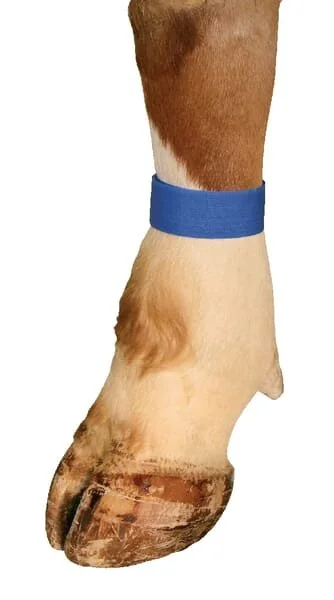 Unbranded - VV8132 - Fasce di marcatura in velcro blu (confezione da 10)