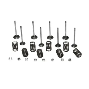 Vapormatic - VPA6054 - Kit valvola
