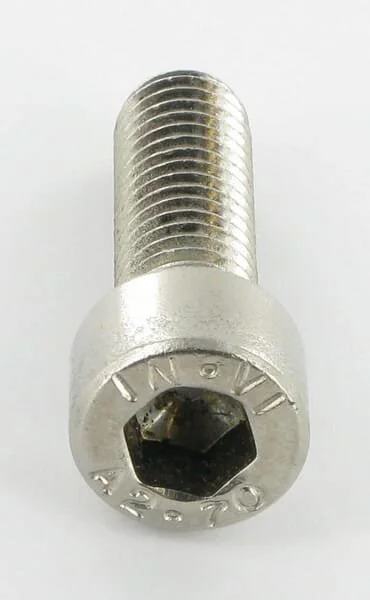 Vicon - KG00565500 - Bullone con esagono incassato, acciaio inossidabile